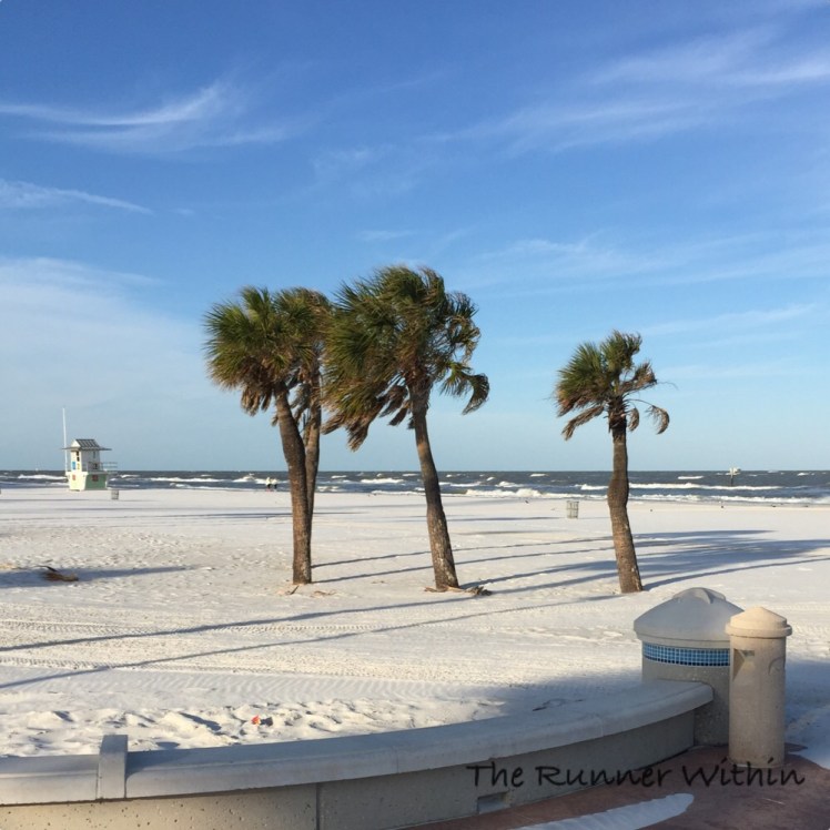 A fairly windy run this morning. You can see in the background how choppy the waves were.