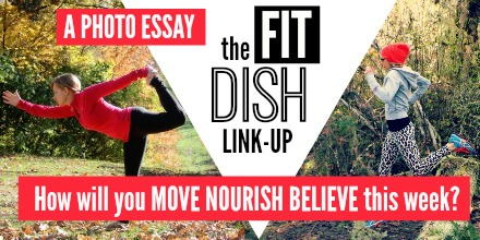 The Fit Dish 3-3