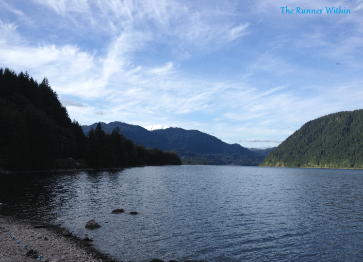 Mt. St. Helen in the background.
