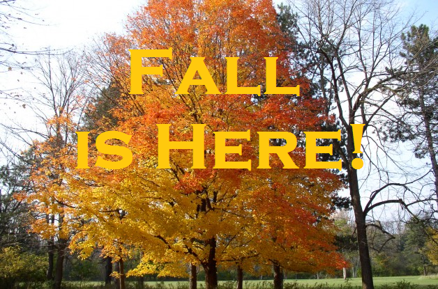 Fall