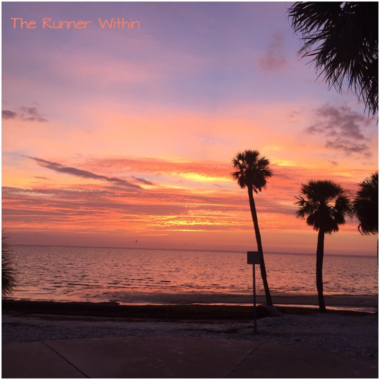 View of the sunrise on my run - no fliter!